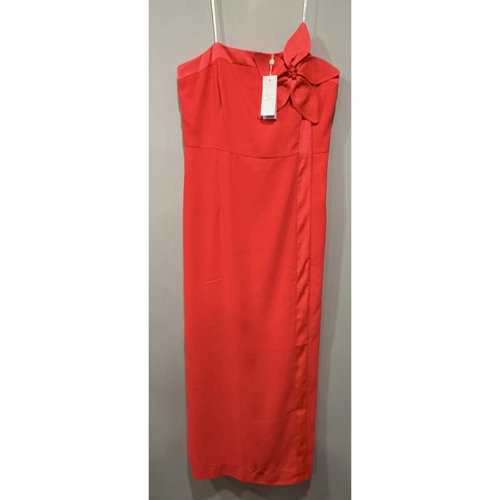 anasophia maxi dress Anasophia Maxi Dress  Cloister Collection